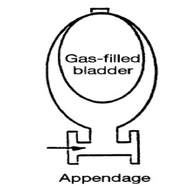 Gas – Cushioned Pulsation Dampener