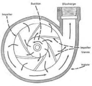 Figure 2: Radial Flow Centrifugal Pump
